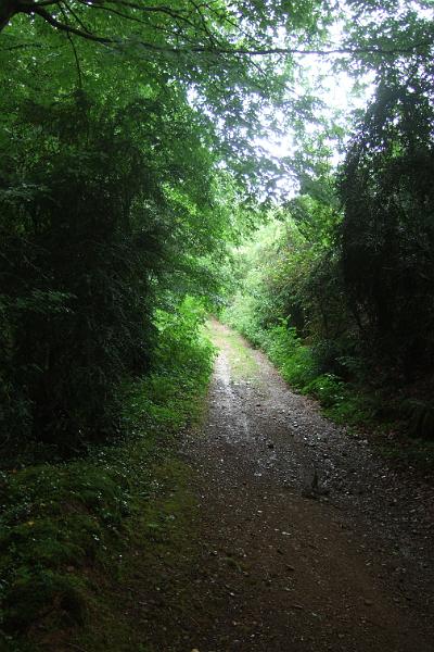 2011-05- (424).JPG